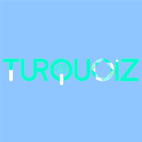 Logo de Turquoiz