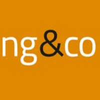 Logo de NG & Co International