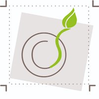 Logo d'Opus concept