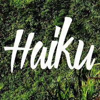 Logo d'Agence Haiku
