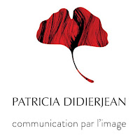 Logo de Patricia Didierjean Graphiste