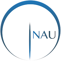 Logo de NAU Laurent - Consultant Informatique