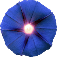 Logo d'Olivier Genevest