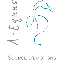 Logo d'A-Equus