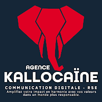 Logo d'Agence Kallocaïne