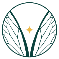 Logo de Graphiste - Studio Cicada