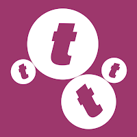 Logo de twin solutions
