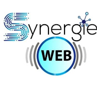 Logo de Synergie Web