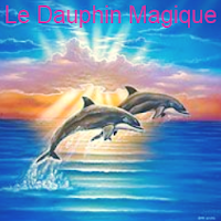 Logo du dauphin magique
