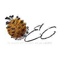 Logo d'E-ConsultingPro | Visibilité en ligne pour entreprises – Guadeloupe & Martinique
