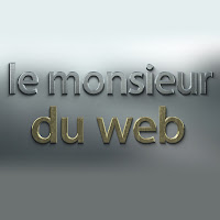 Logo de lemonsieurduweb.fr