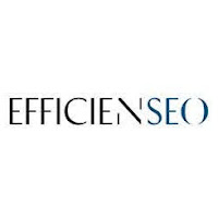 Logo d'Efficienseo
