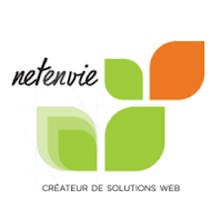 Logo de Netenvie Agence Web Martigues
