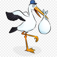 Logo de Digistork