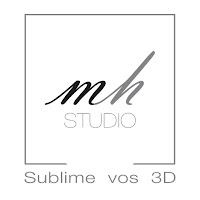 Logo de MH STUDIO 360