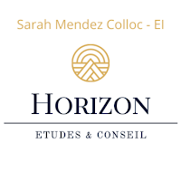 Logo de Horizon études & conseil - Sarah Mendez Colloc EI