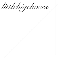 Logo de littlebigchoses