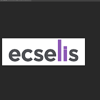 Logo d'Ecselis