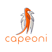 Logo de CAPEONI - Expert informatique et cybersécurité Valenciennes
