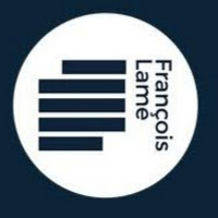Logo de Stratégies narratives & neurosciences appliquées par François Lamé, consultant, expert , coach et formateur