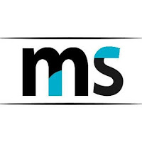 Logo de MS WEB