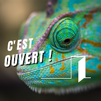 Logo de C'est ouvert ! Faites le savoir