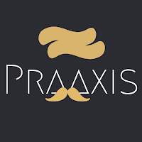 Logo de PRAAXIS