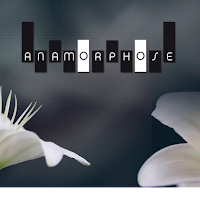 Logo d'Anamorphose