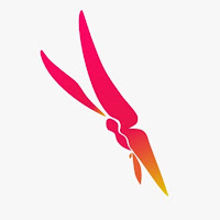 Logo d'Agence web Mayotte | Imagine