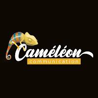 Logo de Caméléon Communication - Agence Landes