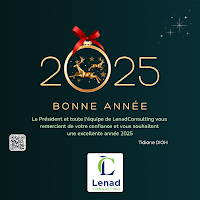 Logo de Lenad consulting