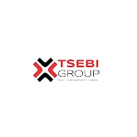Logo de TSEBI GROUP