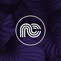 Logo de Net Concept - Agence web Rennes