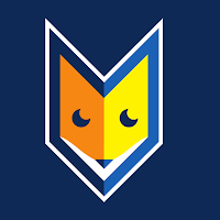 Logo de mavisibilite - 44300