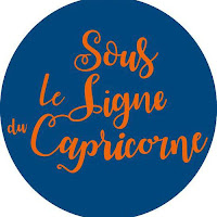 Logo de Sous Le Signe Du Capricorne - agence en stratégie de communication
