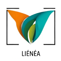 Logo de Liénéa