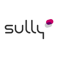 Logo de Sully Group - Agence de Bordeaux