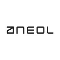 Logo d'ANEOL - Agence de Transformation Numérique à Saint-Étienne