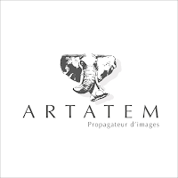 Logo d'Artatem
