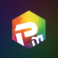 Logo de Prinz multimedia Agence Lognes