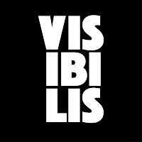 Logo de VISIBILIS - Sites Web & Graphisme