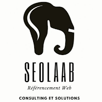 Logo de Seolaab
