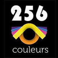 Logo de 256 couleurs