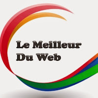 Logo du Meilleur Du Web
