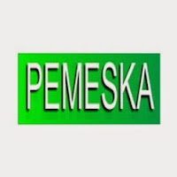 Logo de PEMESKA