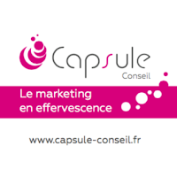 Logo de Capsule Conseil