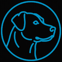 Logo de SLM Digital