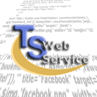Logo de T-S-WebService