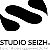 Logo de Studio Seizh Concarneau