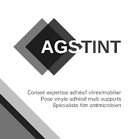 Logo d'AGSTINT
